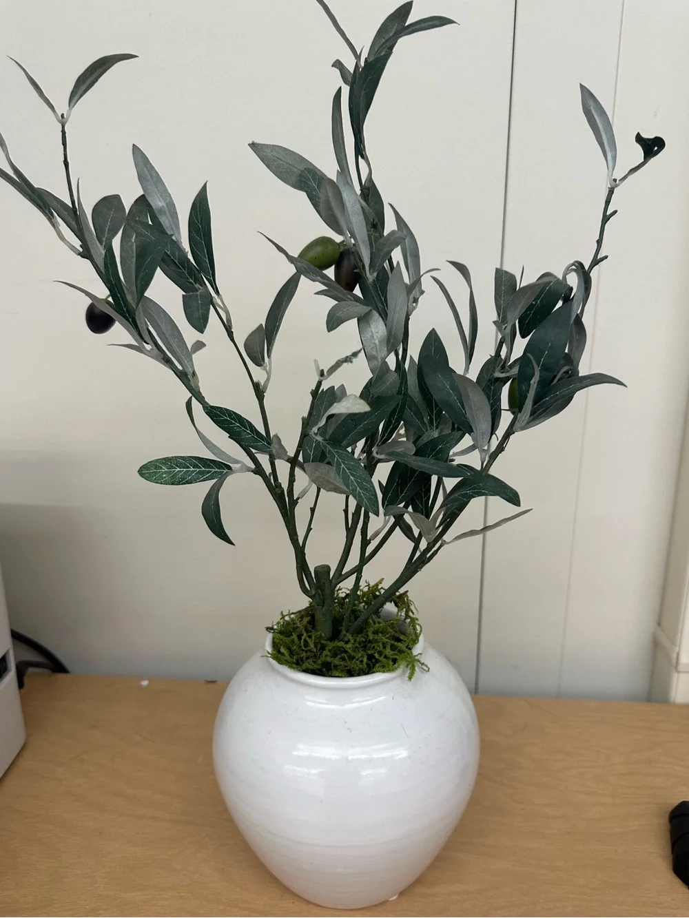 Artificial Olive Branch Arrangement in White Ceramic Vase - Home Accents